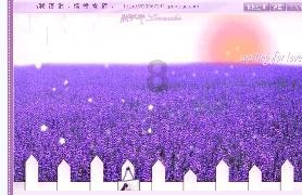 厚植生态底色 守护绿水青山!| 系列报道
