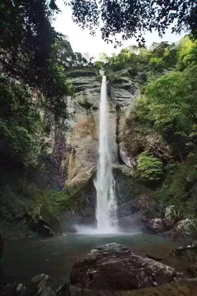 混乱特工