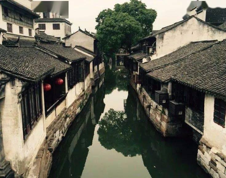 昆明官渡:“党建引擎”暖企兴商