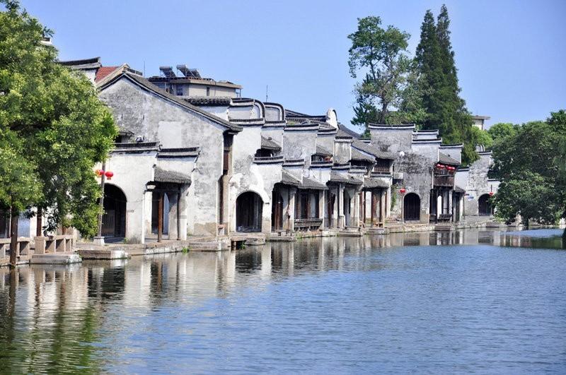 这是什么狗？游戏画面